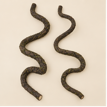 Flexible Jungle Vine Pair — hero